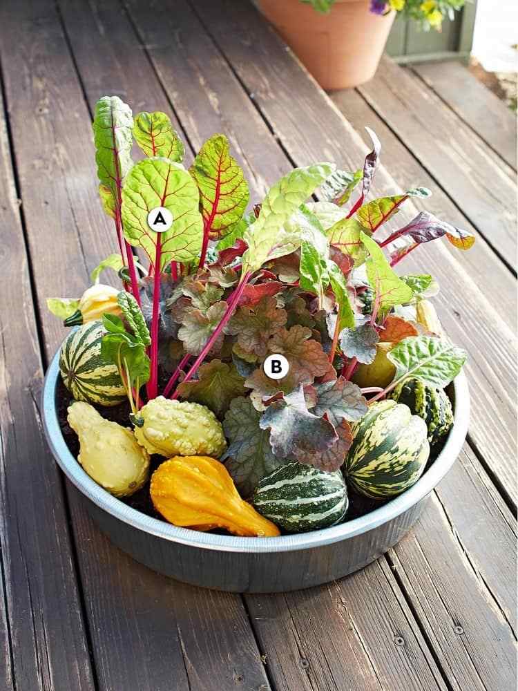 návrhy vedier na jesennú výsadbu