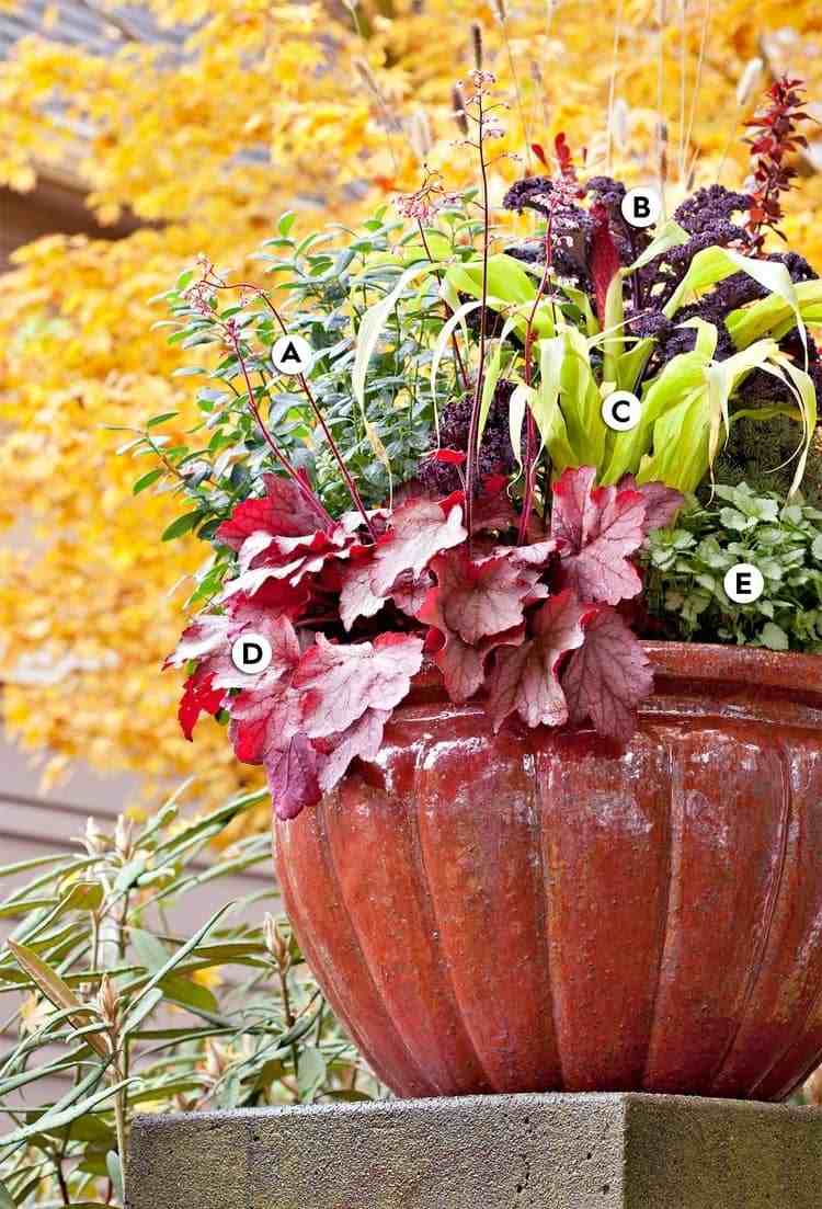 kvetináče na jesennú výsadbu 2020