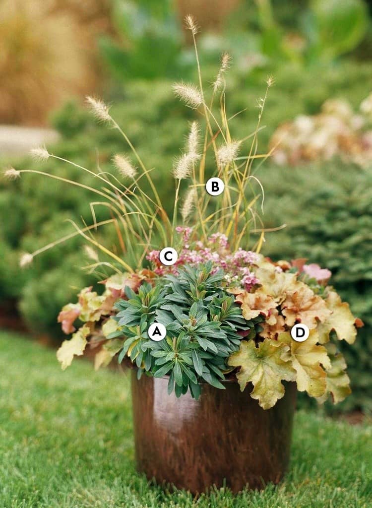 jesenné vysádzanie kvetináčov s heucherou a okrasnou trávou