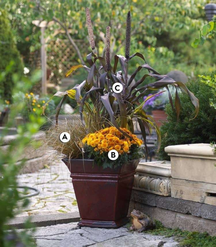 moderná jesenná výsadba s chryzantémami a okrasnou trávou