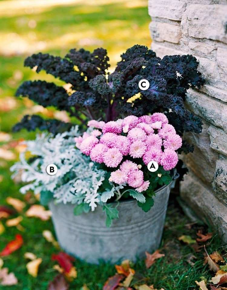 črepník na jesennú výsadbu v odtieňoch fialovej