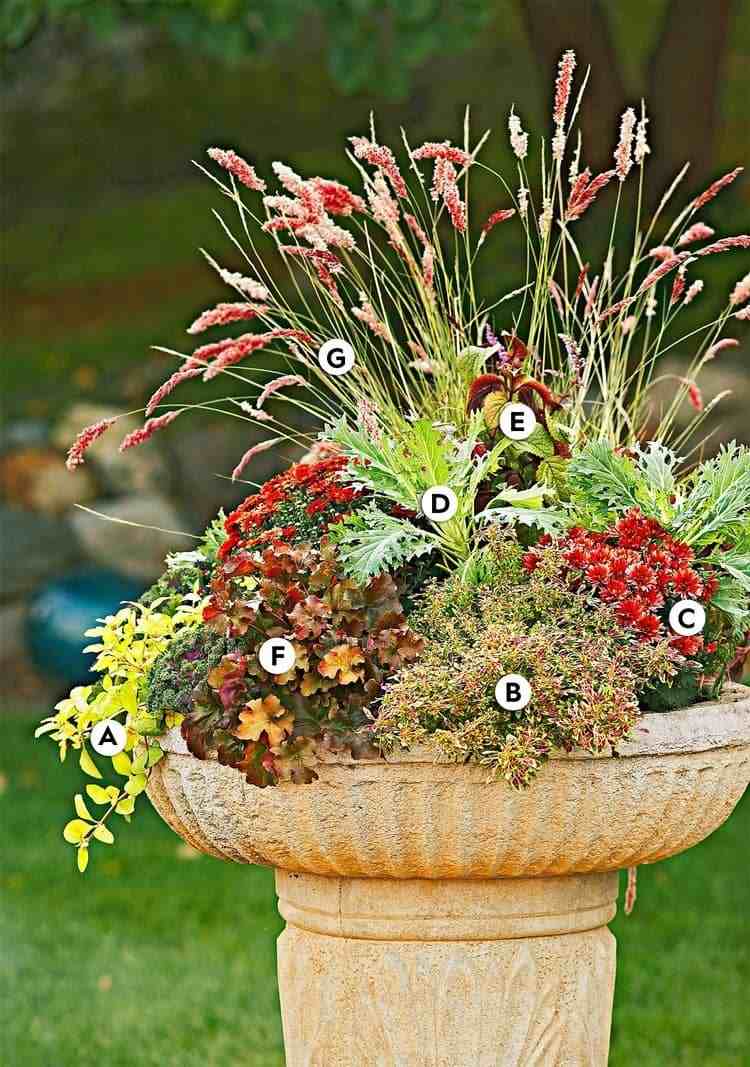 moderná jesenná výsadba s kvetmi a trávami