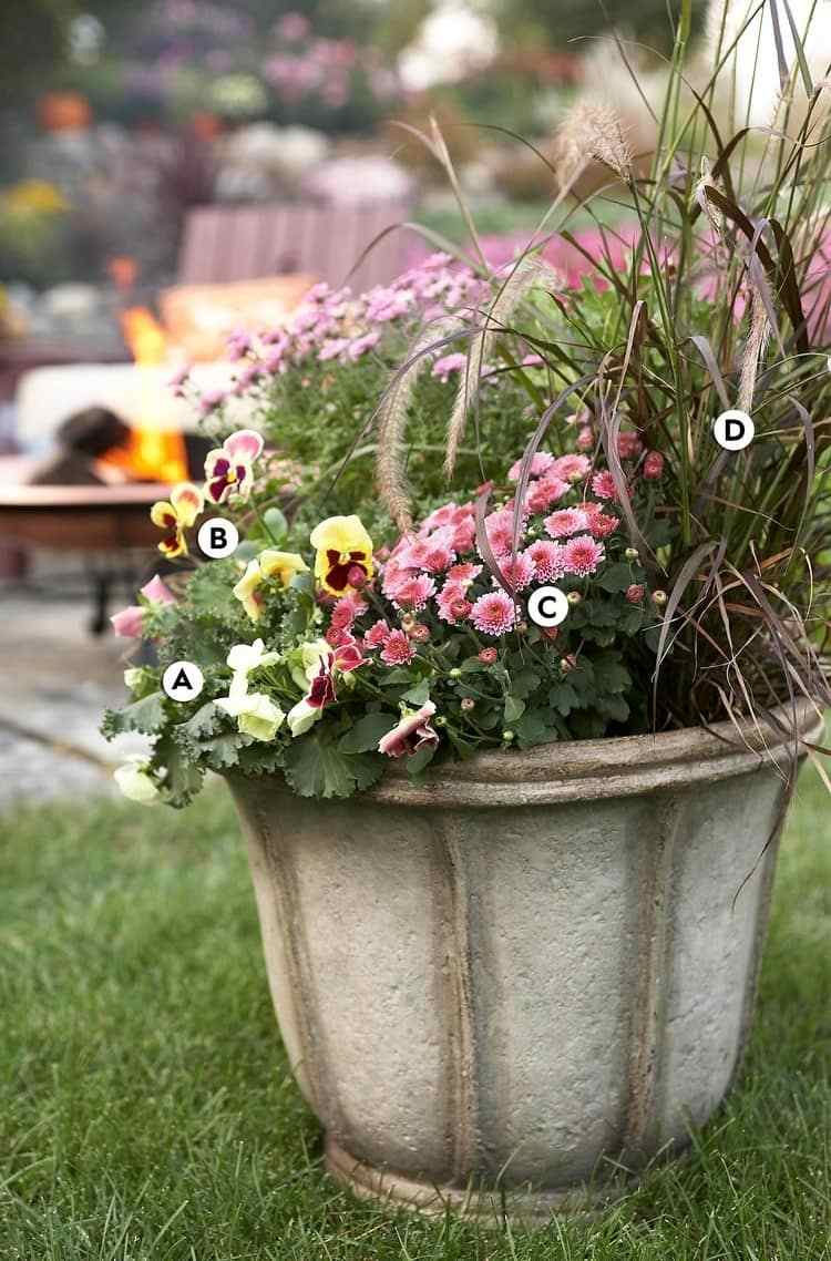 Chryzantémy, macešky a okrasná tráva vo veľkom kamennom vedre