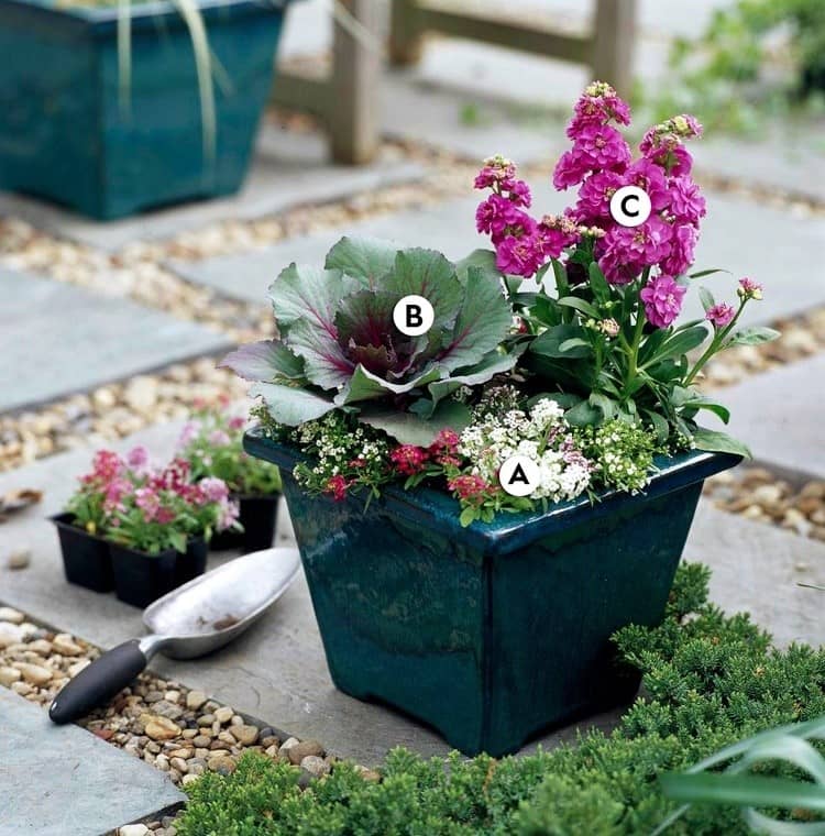 jesenné vysádzanie kvetináčov vytrvalé