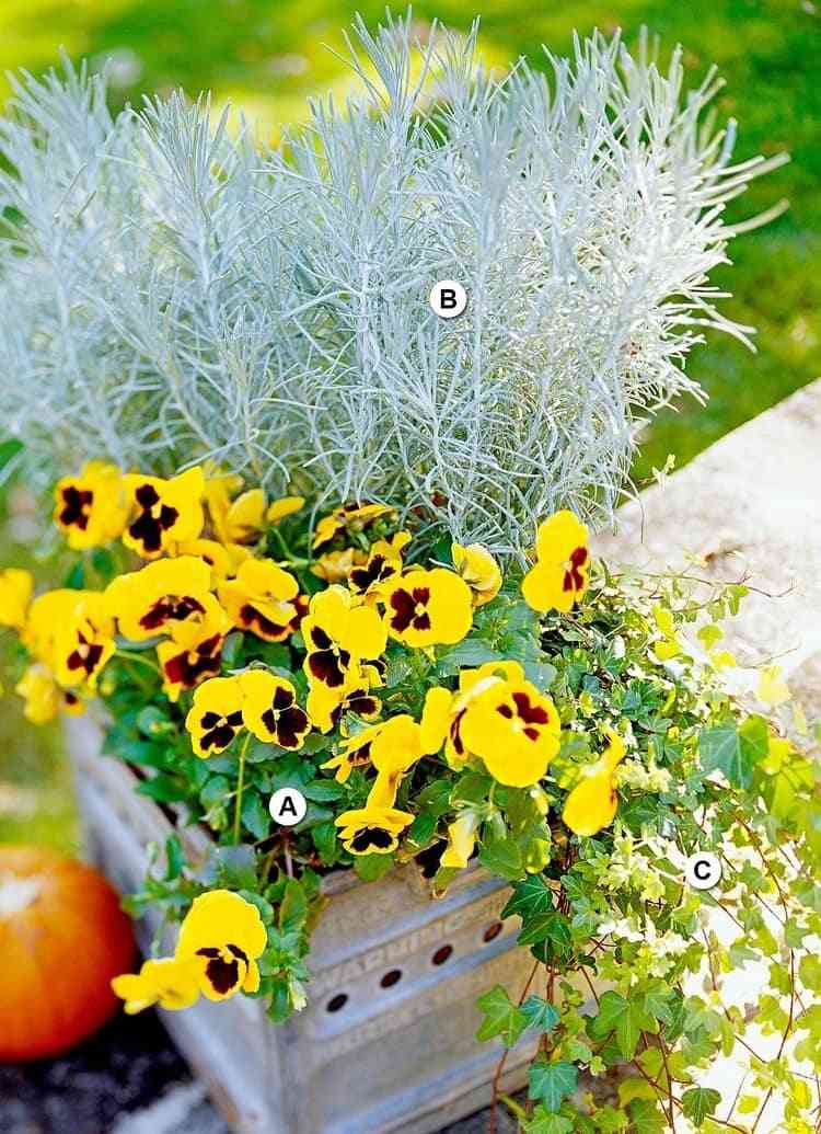 jesenné výsadby vane odolné