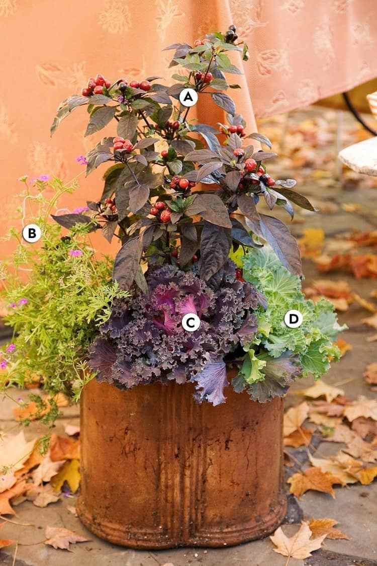 nápad na jesennú výsadbu s bobuľami