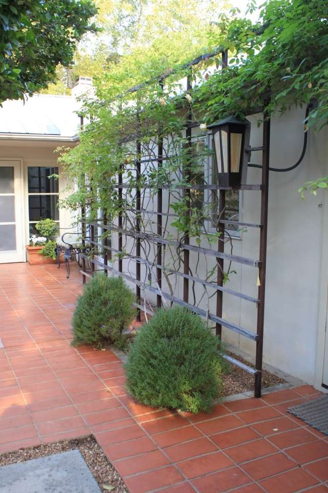 popínavé rastliny mreže malá záhradná zelená nástenná lampa