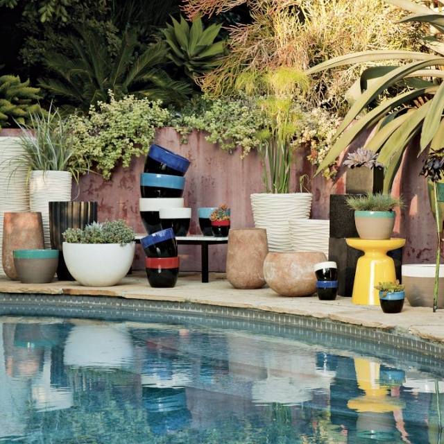 malá záhrada štvorcový bazén terasa črepníky palmy