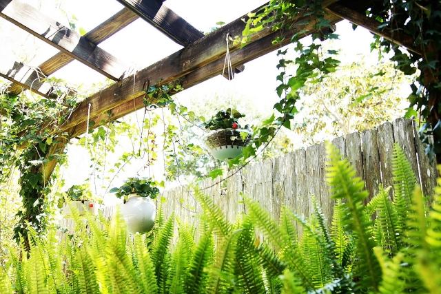 nápady na dizajn záhradné papradie brečtan závesný kôš