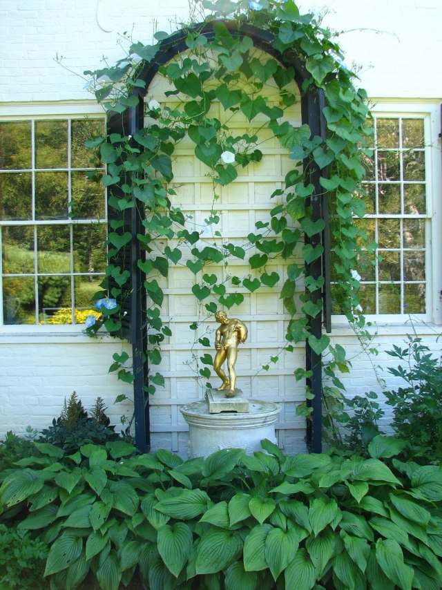 nápady na dizajn malé záhradné tiene milujúce rastliny mreže popínavé rastliny