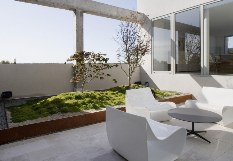 Dizajnové nápady-malá záhrada-moderný trávnik-bonzai-štrk-malé-stromy-záhradný nábytok-minimalistický