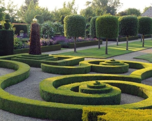 Nápady na strih živých plotov pre tvary hada zdobia v záhrade