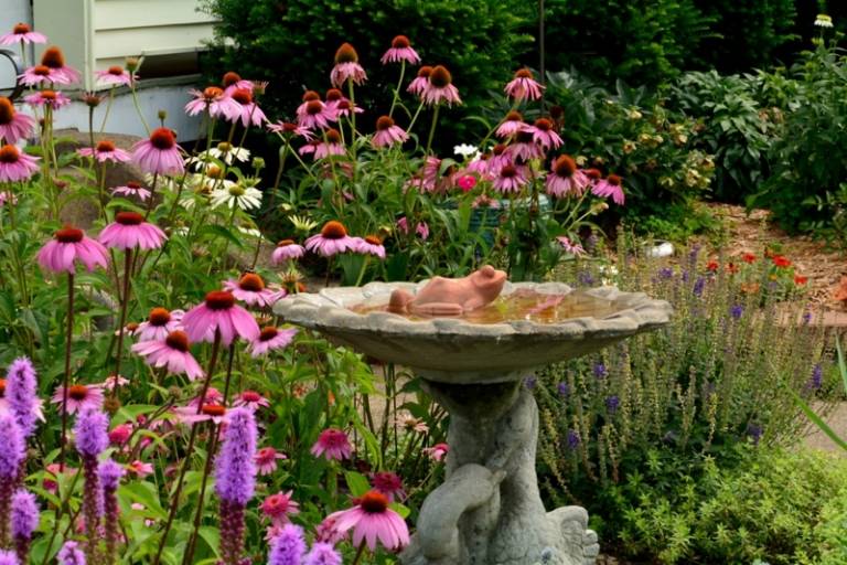 nápady na záhradnú výzdobu vtáčia kúpeľ žaba postava kvety jar