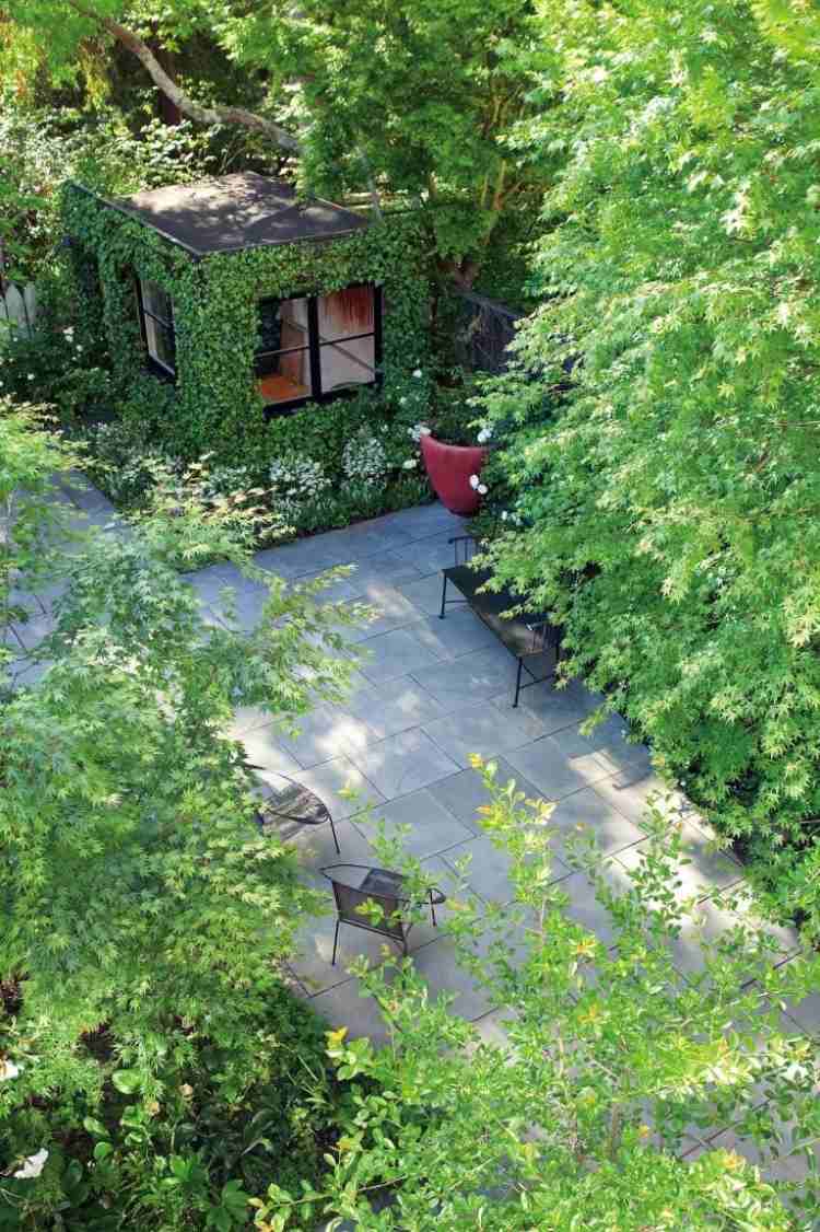 urban-garden-design-small-room-view-above-trees-ivy-fasáda