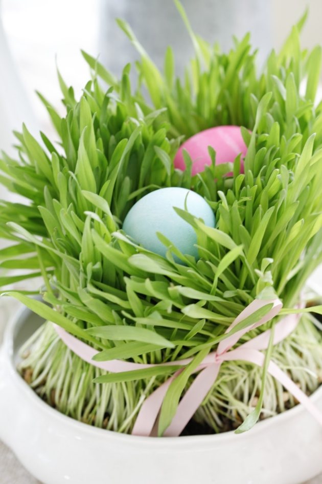 veľkonočná tabuľka tráva maľované vajíčko slučka