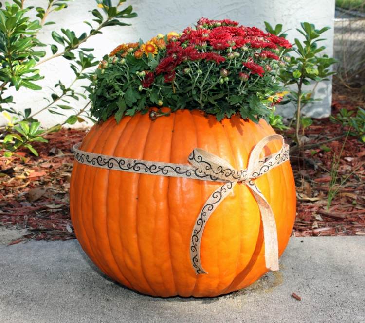 halloween dekorácie stuha tekvica kvetináč nápad kvety