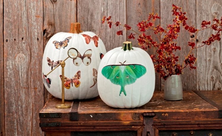 halloween dekorácia biela tekvica motýľ strauss jesenné lístie