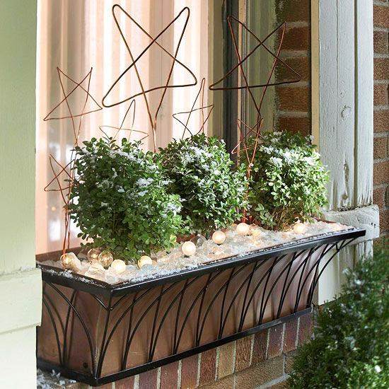 Hviezdna vždyzelená rastlina dekorácia okna Rastlinná dekorácia okna nápad na Vianoce