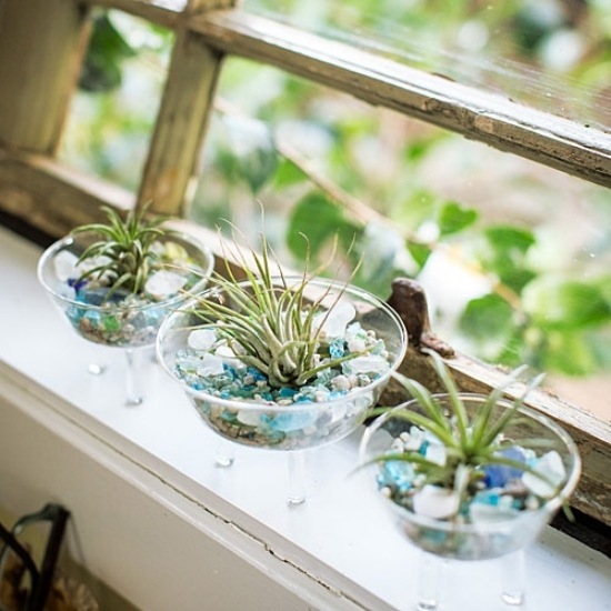 nápady na výzdobu fentser pre zriadenie malej záhrady