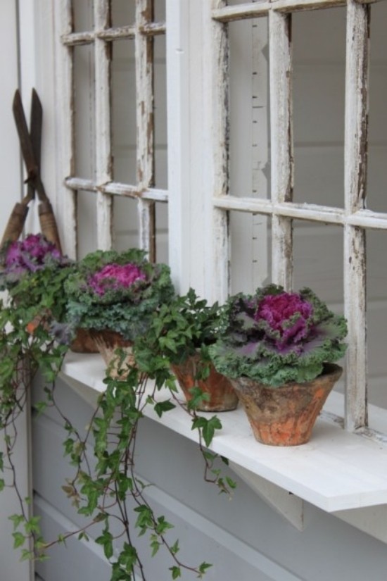 Vytvorte nápady na zavesené rastliny na zriadenie malých záhrad