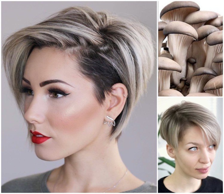 aktuálne farby na vlasy pre krátke vlasy hubová blond