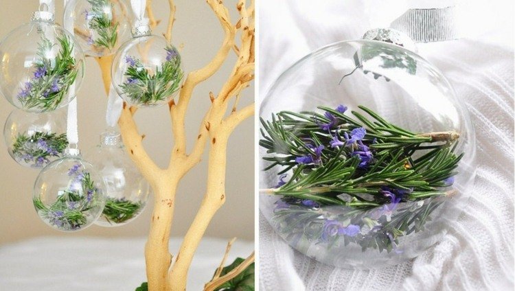 Na vianočné ozdoby môžete transparentné gule naplniť rozmarínom DIY vianočné ozdoby gule transparentné rozmarínové dekorácie kvety