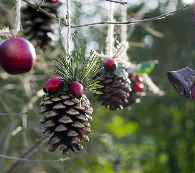 Šišky, šípky a zelené konáre diy-vianočné dekorácie-borovicové šišky-šípky-hip-jedľa-konáre