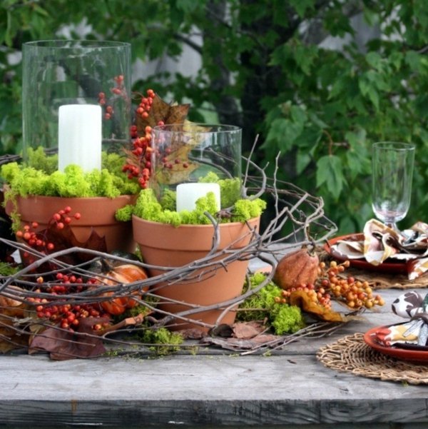 usporiadať zelené vegetačné kríky lampáše