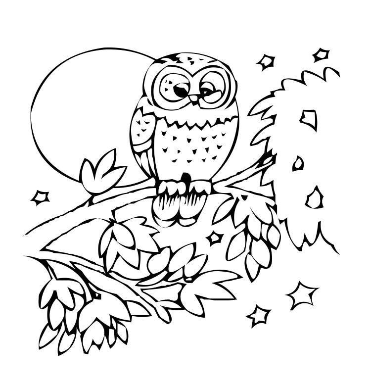 deti-omaľovánky-zvieratká-sova-strom