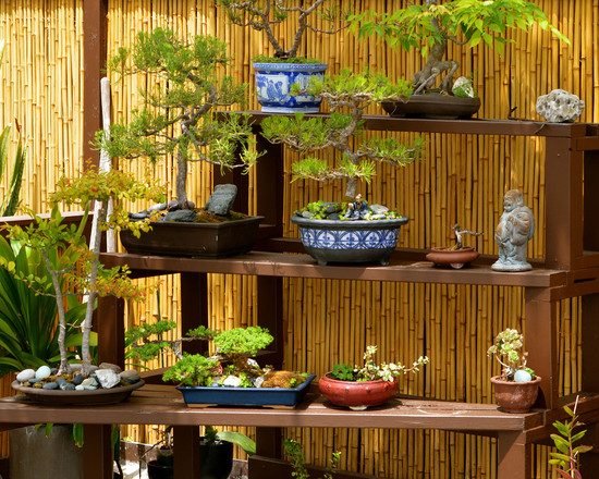 Záhrada v japonskom štýle rozložila police bonsai