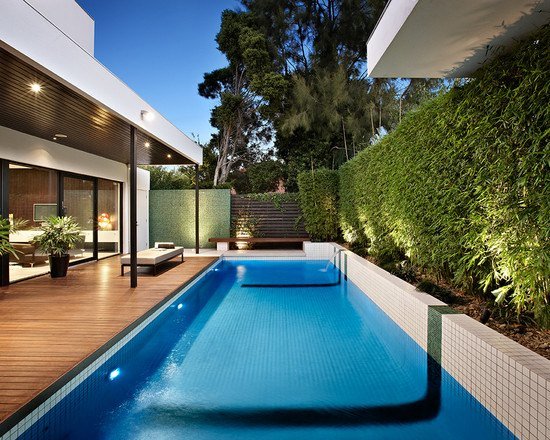 Záhradný plot živý plot rastliny bazén drevo terasa dom