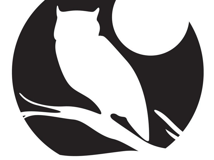 Sova sediaca na konári a mesiac v pozadí Šablóny na vyrezávanie halloweenskych tekvíc sova-vetva-sediaci-mesiac