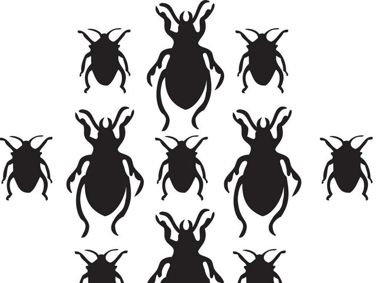 šablóna na vyrezávanie veľkých a malých chrobákov halloween-kurbis-carving-templates-chrobák-veľký-malý