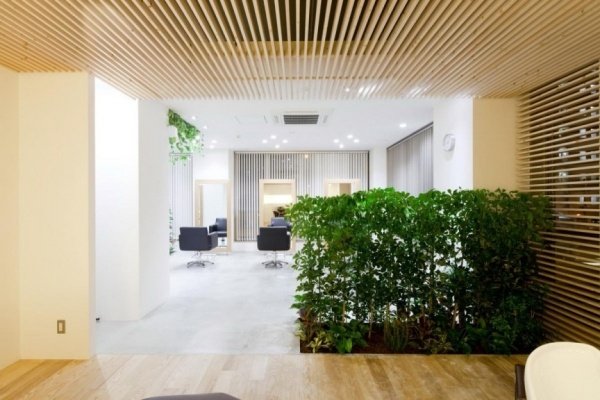 zelená obrazovka interiérový dizajn zariaďovacie riešenie-kríky priečka