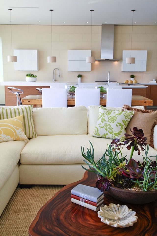 Izbové rastliny obývacia izba kuchyňa sedenie skupina drevo obývacia zostava stôl Interiérová dekorácia rastlín obývacia izba kuchyňa sedacia skupina drevené usporiadanie obývačky stôl