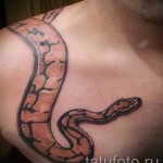 3D Schlange Tattoo auf dem Arm Bilder - Beispielfoto des fertigen Tätowierung auf 02032016 2