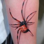 3d pók tetoválás - Fotó példa a tetoválásra 02032016 1