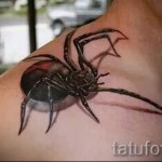 3D pók tetoválás - Fotó példa a tetoválásra 02032016 2