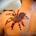 3d pók tetoválás - Fotó példa a tetoválásra 02032016 3