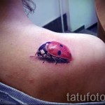 3D tetoválás katicabogár - Példa fotó a kész tetoválásról a 02032016 -on 1