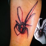 3D pók tetoválás - minta fotó a kész tetoválásról 02032016 12