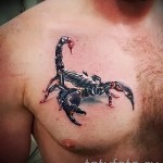 scorpion tatouage d'images 3D - Példa fotó a tatouage fini sur 02032016 3