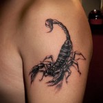 skorpió tetoválás 3d kép - Példa fotó a kész tetoválásról 02032016 2