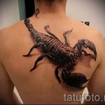 Skorpion Tattoo 3D -Bilder - Beispielfoto des fertigen Tätowierung auf 02032016 1
