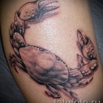 Tetoválásrák 3d - példakép a fotókról a 02.032.016 1