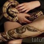 Tetoválások 3D -ben - Fényképek a tetoválásról 02032016 3