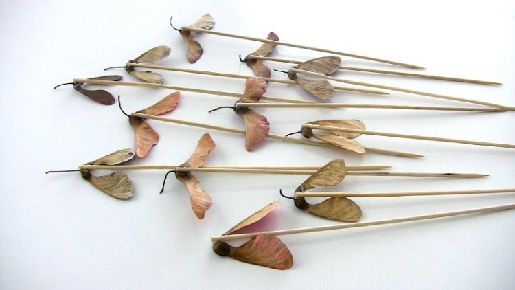 ručné práce-návod-jeseň-deti-drotár-hmyz-motýle-tyčinky-platan