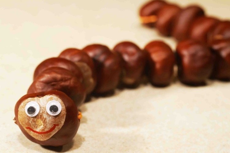 Návody na výrobu-jeseň-deti-ručné-húsenice-gaštany-vtipné-krútiť očami