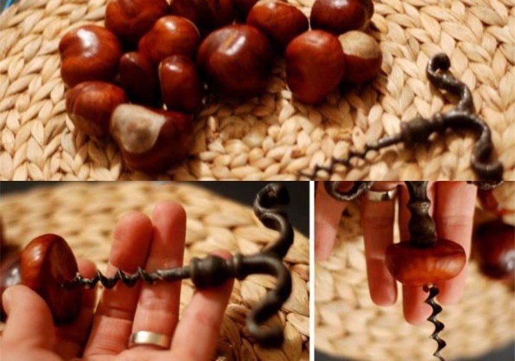 Návody na výrobu-jeseň-deti-drotárstvo-gaštan-húsenica-otvárač na fľaše na víno-vŕtanie-diera-kreatívne