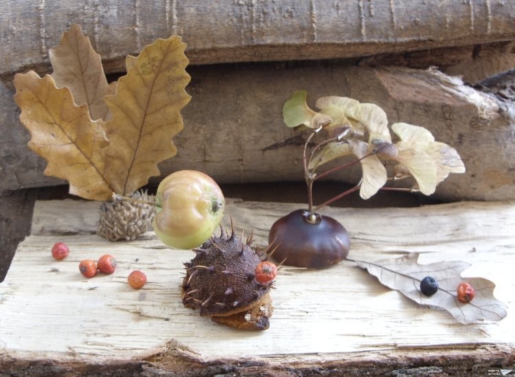 Návody na výrobu-jesenné-deti-ježkovia-gaštan-jesenné-listy-ruže-hip-drevo-nápady
